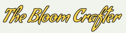 11SIX24 logo